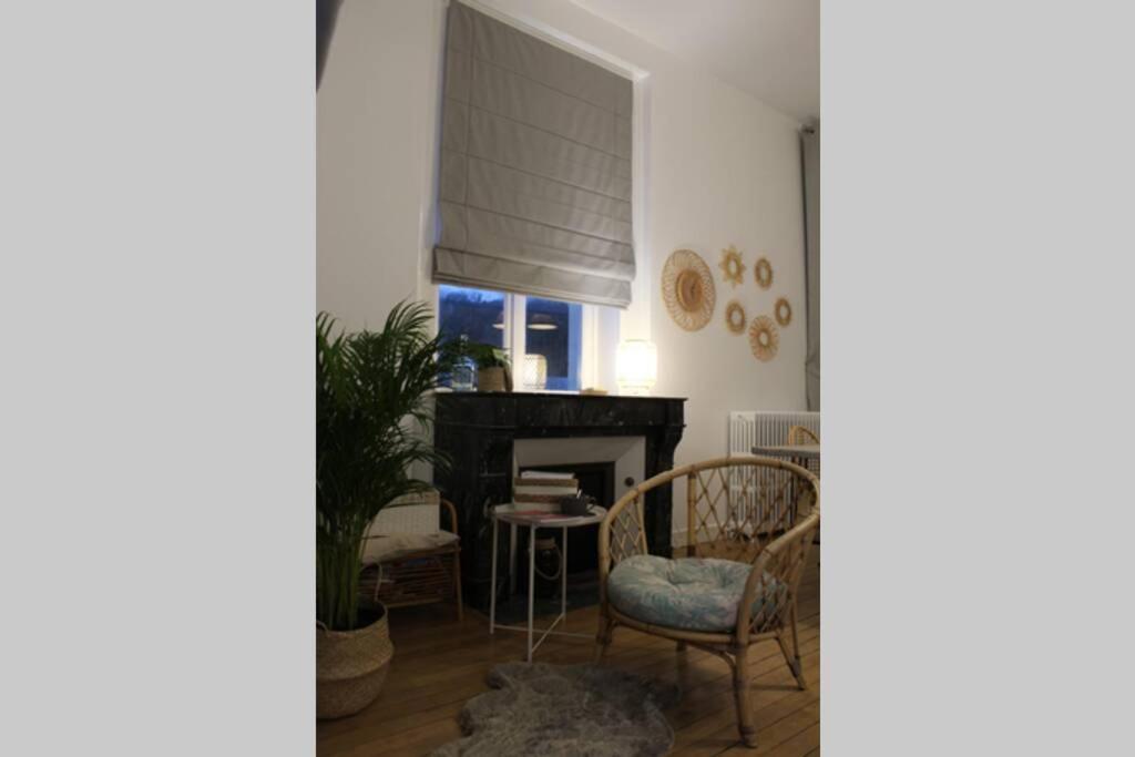 Appartement Vue Imprenable Sur La Loire !!! Сомюр Екстер'єр фото